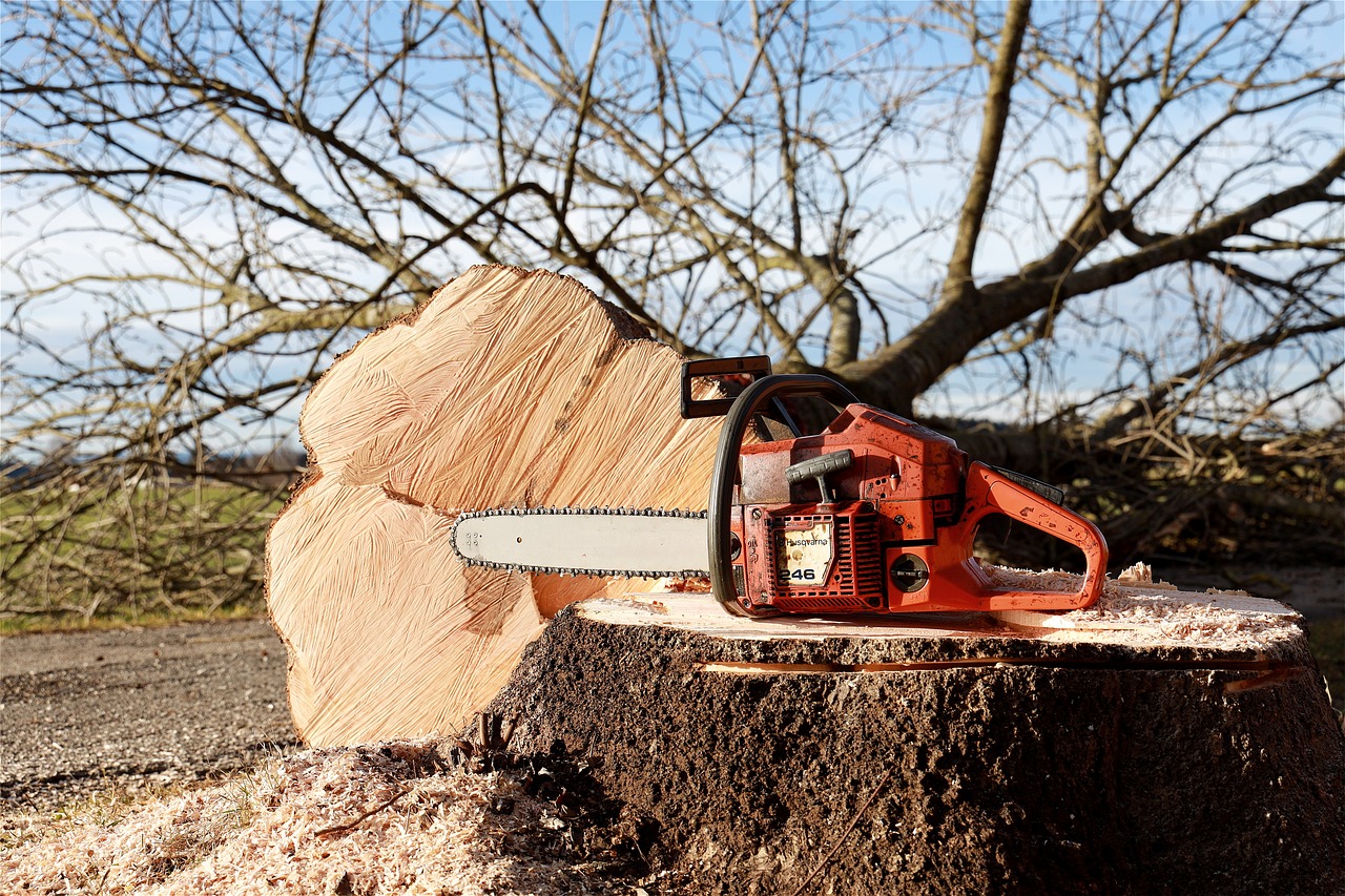 Baum fällen